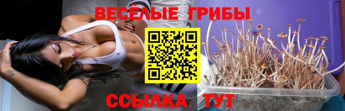 Псилоцибиновые грибы ЛСД Стрежевой